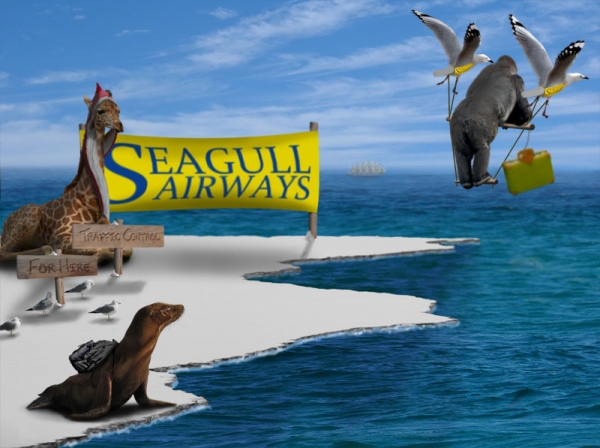 Creation of SeaGull Airways: Step 18